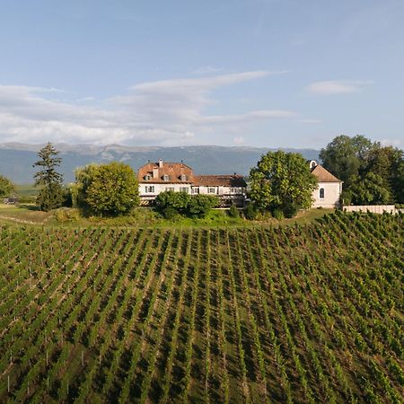 Domaine De Chateauvieux Peney Dessus Eksteriør billede