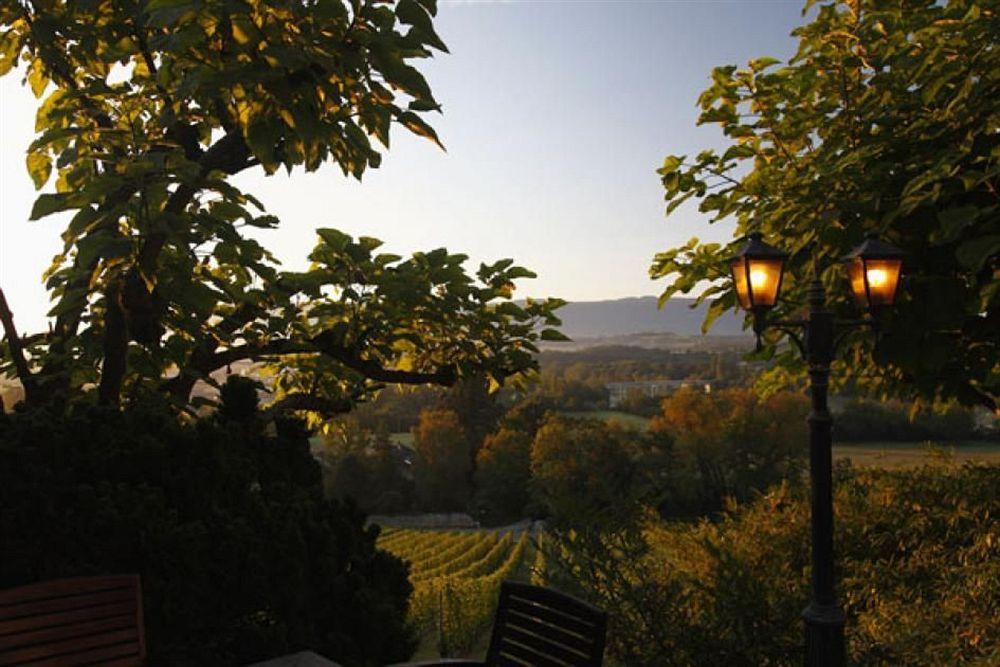 Domaine De Chateauvieux Peney Dessus Eksteriør billede