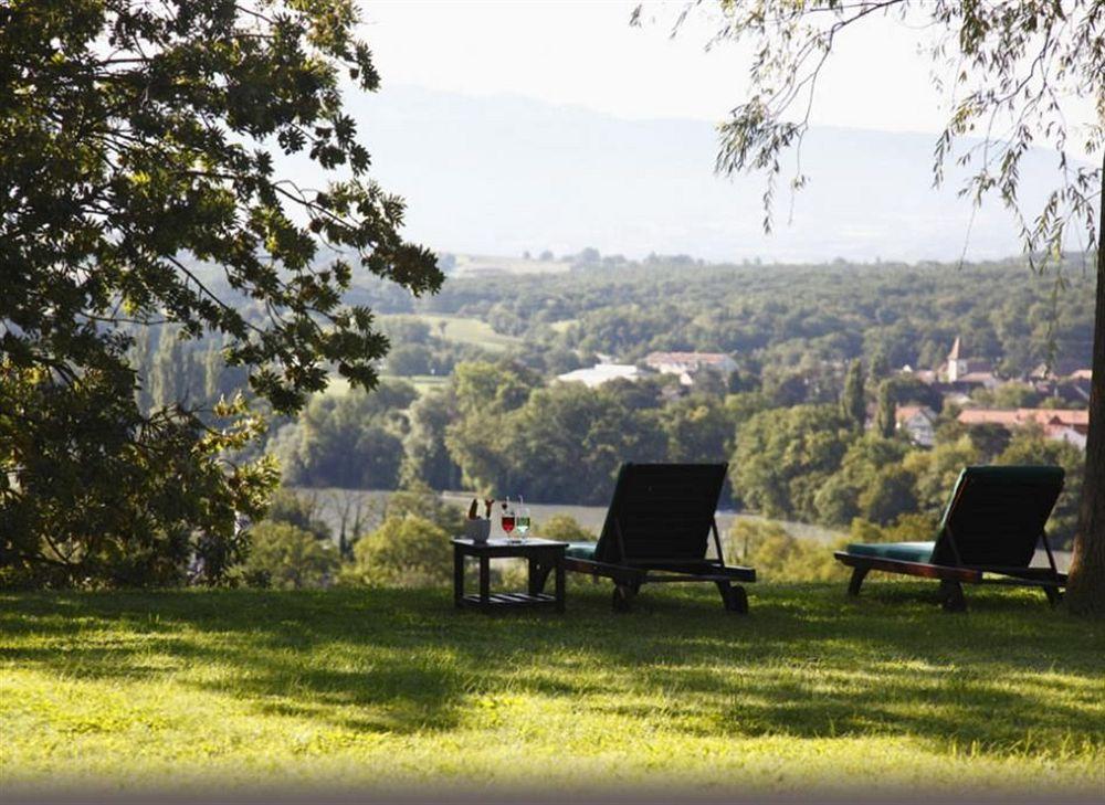 Domaine De Chateauvieux Peney Dessus Eksteriør billede