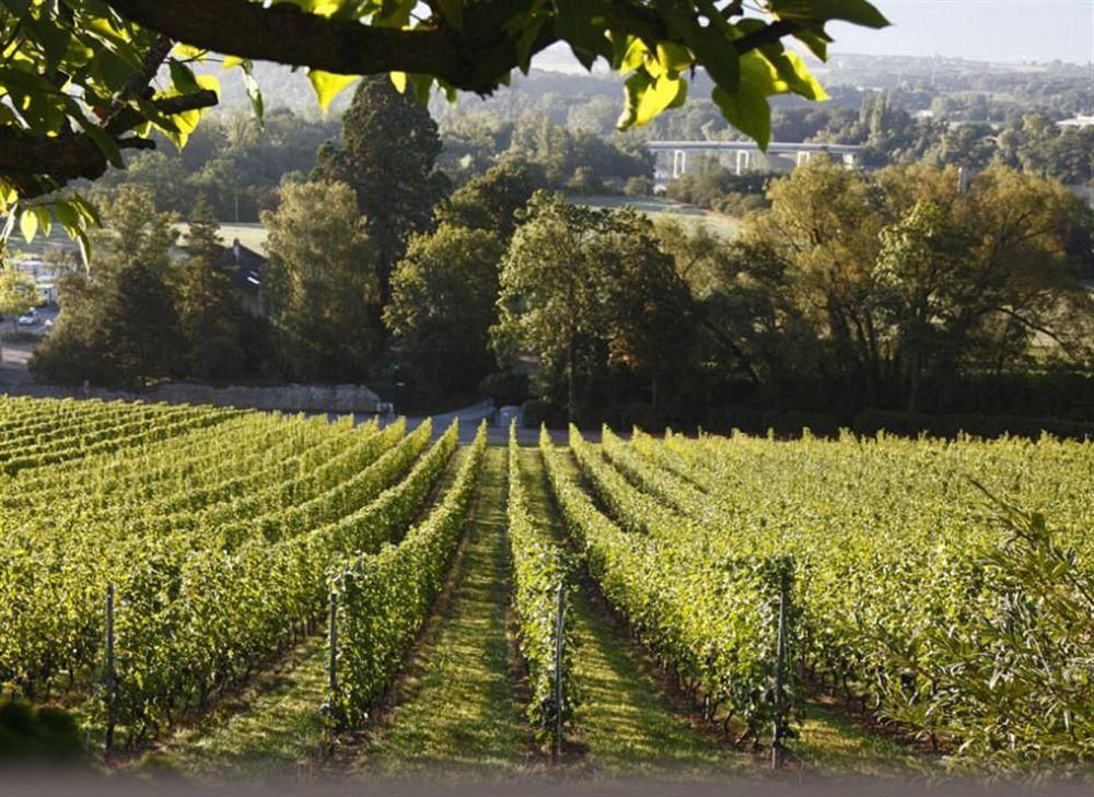 Domaine De Chateauvieux Peney Dessus Eksteriør billede