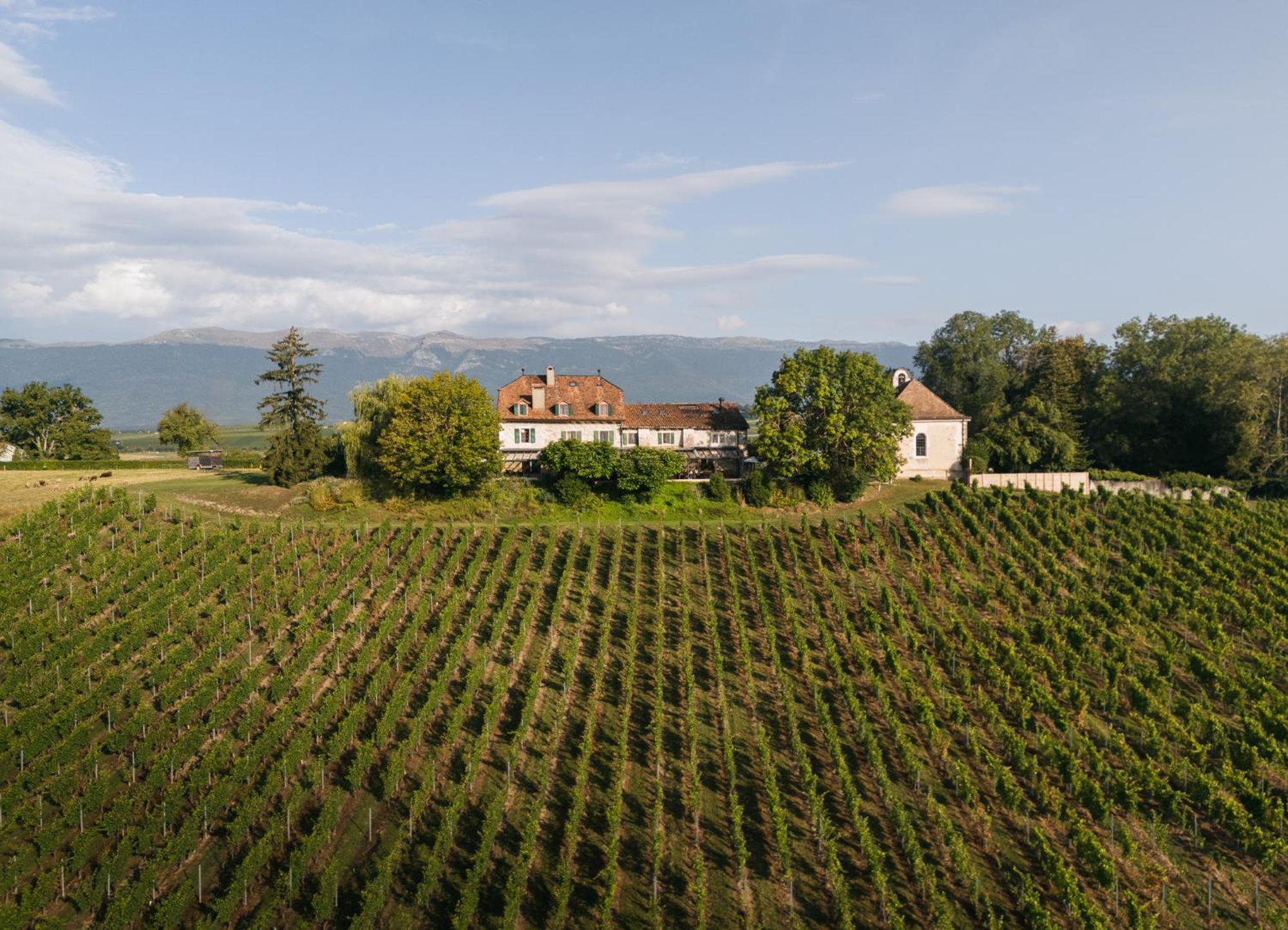 Domaine De Chateauvieux Peney Dessus Eksteriør billede