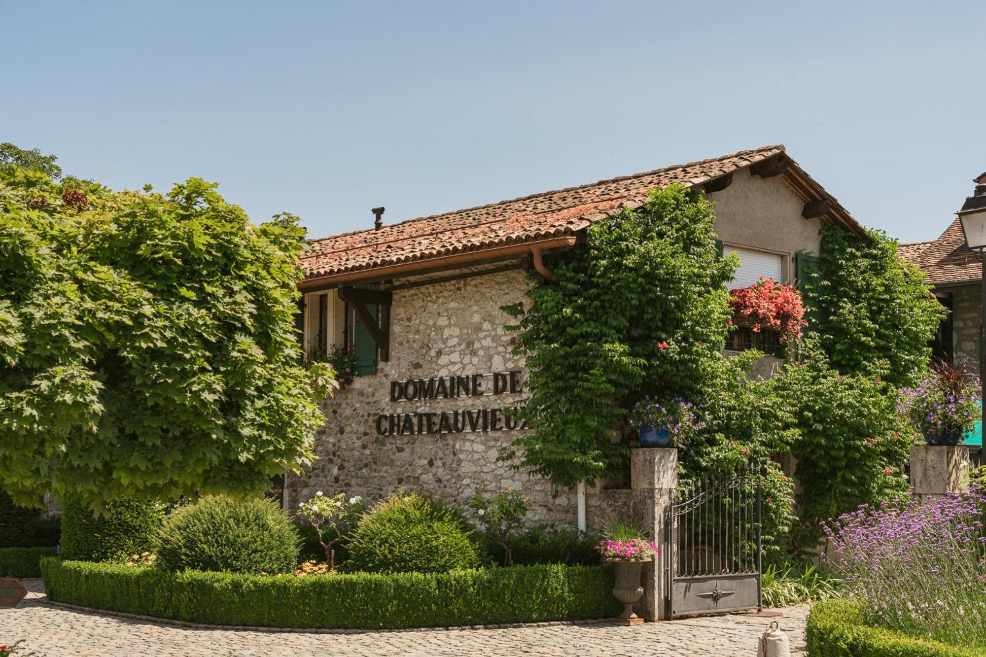 Domaine De Chateauvieux Peney Dessus Eksteriør billede