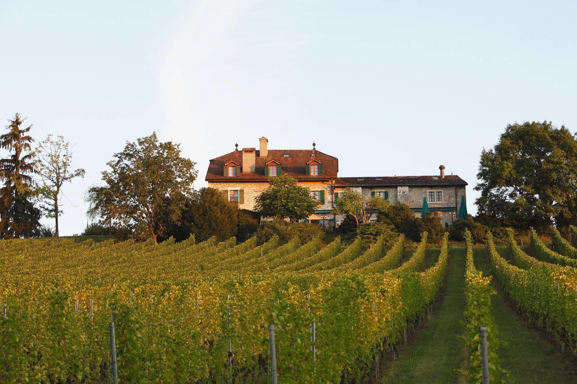 Domaine De Chateauvieux Peney Dessus Eksteriør billede