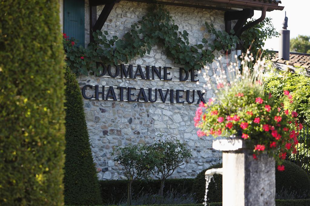 Domaine De Chateauvieux Peney Dessus Eksteriør billede