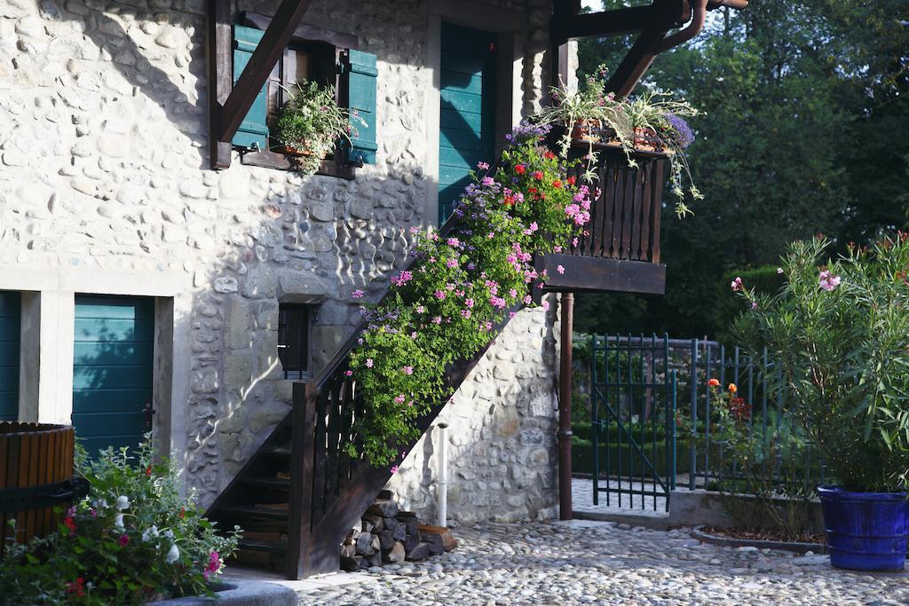 Domaine De Chateauvieux Peney Dessus Eksteriør billede